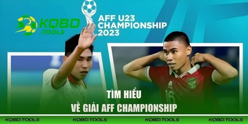Tìm hiểu về giải AFF Championship
