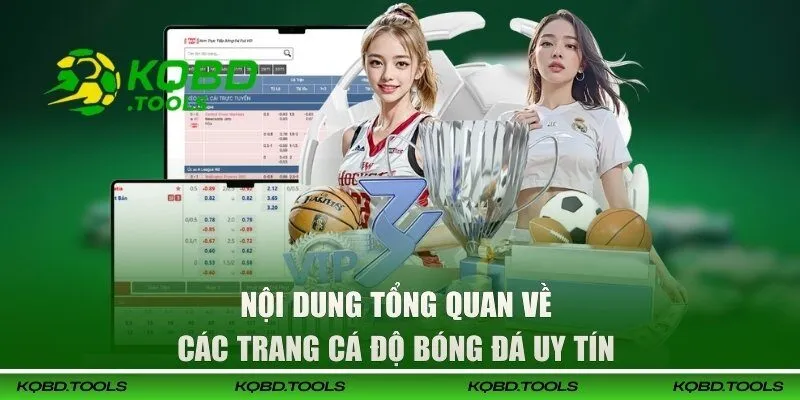 Top 5 Trang Cá Độ Bóng Đá Uy Tín Hàng Đầu Nên Trải Nghiệm 1 Nội dung tổng quan về các trang cá độ bóng đá uy tín